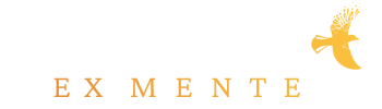 Ex Mente Technologies, South Africa
